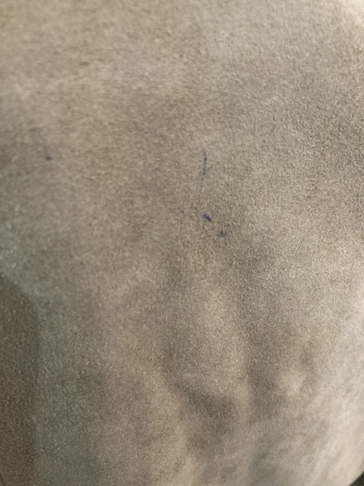 Chaqueta de cuero vintage Jones New York tostado/verde, para mujer, talla pequeña mediana Foto 4 de 4