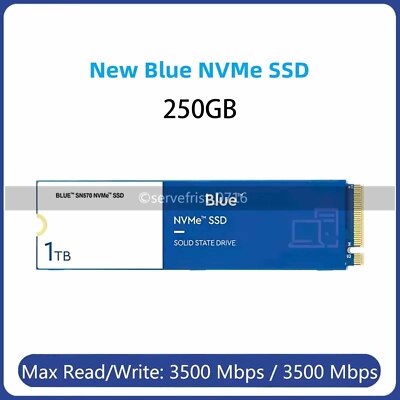 Western Digital 250GB WD Blue SN570 NVMe Internal Solid State Disk For Laptop PC