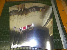 Silver Chrome Vinyl, 6 inch x 9 inch (10 count)