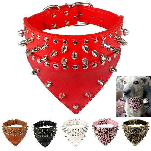 bandanna collar dog