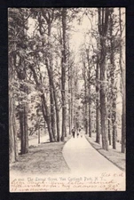 Van Cortlandt Park NYC NY New York Locust Grove Old Bronx Rotograph Postcard