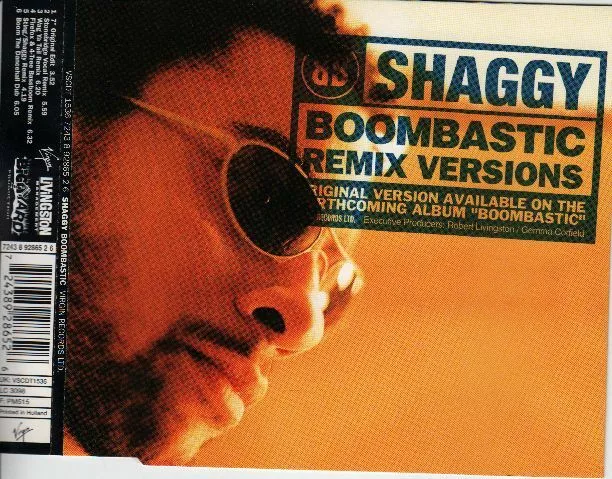 BOOMBASTIC - Shaggy 