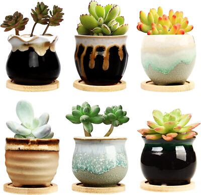 Set of 6 Small Ceramic Succulent Pots with Drainage for Tiny Flower Plants