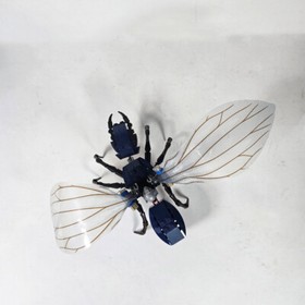 LEGO Marvel Super Heroes Ant-Man Final Battle Flying Ant & Mini Figure Set 76039