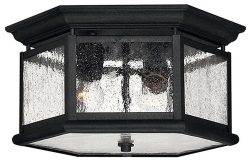 Hinkley Edgewater 13" Wide Black and Water Glass Outdoor Ceiling Light - Picture 2 of 3