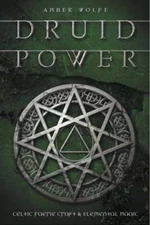 Druid Power: Celtic Faerie Craft & Elemental Magic by Amber Wolfe: Used