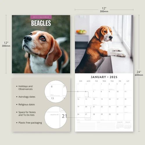 Beagles 2025 Square Wall Calendar