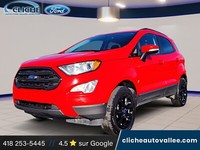 Ford EcoSport SE 4RM 2018 à vendre