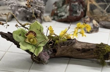 ONE OF A KIND FLORAL ARRANGEMENT REAL WOOD BASE  ORCHIDS BITTERSWEET MOSSES