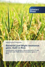 Natraj Kumar Podishetty | Bacterial Leaf Blig...