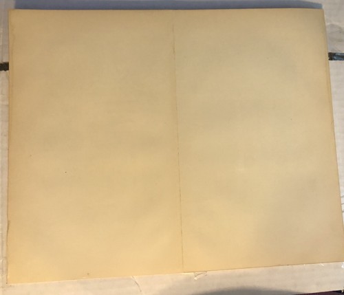 PAPUA CAROLINE ISLANDS Nuova Guinea Stampa Incisione 1800 Popolo Collage E9 - Foto 2 di 2