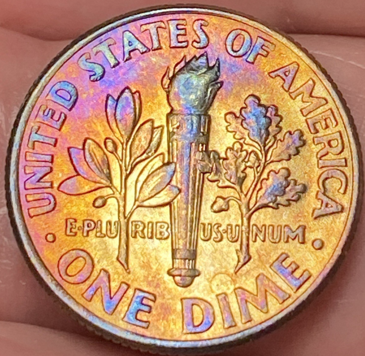 Picture 2 of 12
