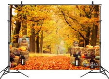 10x8FT Autumn Fall Forest Maple Leaves Pumpkins Vinyl Backdrop Photo Background