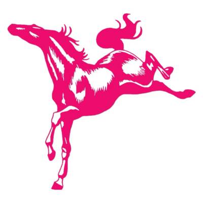 Horse Stallion Pony, Vinyl Decal Sticker, Multiple Colors & Sizes #7531
