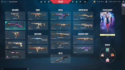 Valorant Account EU   / FULL ACCESS   / Platin 2 / 500  worth of skins