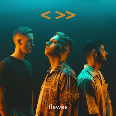 Flawes - One Step Back, Two Steps Forward (Vinyl LP - 2023 - DE - Original)