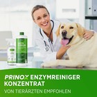 Bild 7 von 8