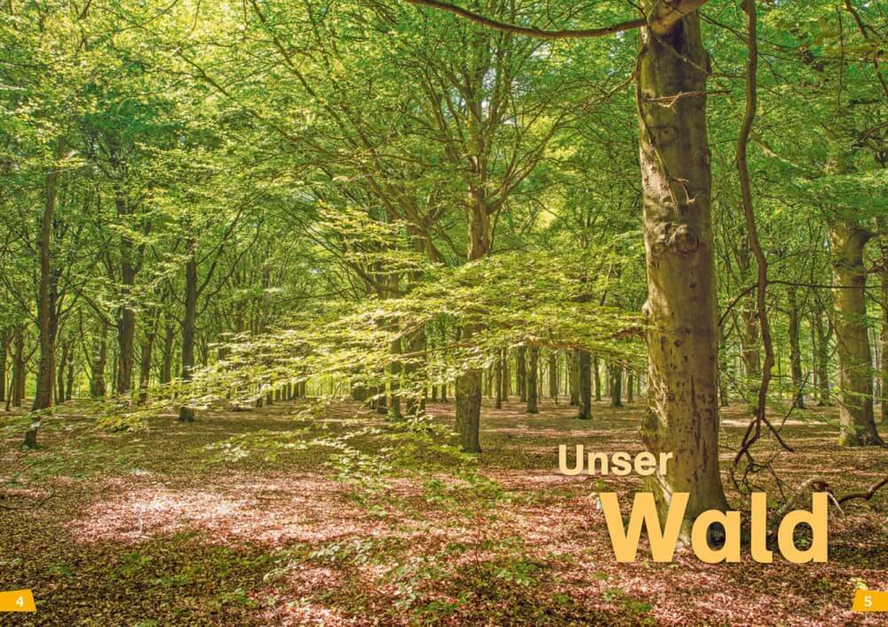 Thumbnail - Tessloff Was Ist Was Erstes Lesen Band 6. Wald