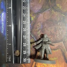 Half Elf Human Ranger Barbarian Fighter Rogue Miniature Dungeons  Dragons DND