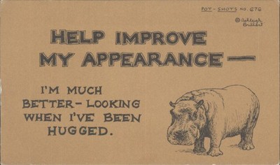 Ashleigh brillante TOPFAUFNAHMEN Nilpferd Umarmung humorvolle UK Postkarte 2013 Dodo Designs