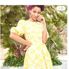 Ann Taylor Citrus Blossom Embroidery Shift Dress 8 Cottagecore