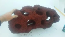 Cichlid Fish tank aquarium labyrinth swim through cave red lava holey rock stone