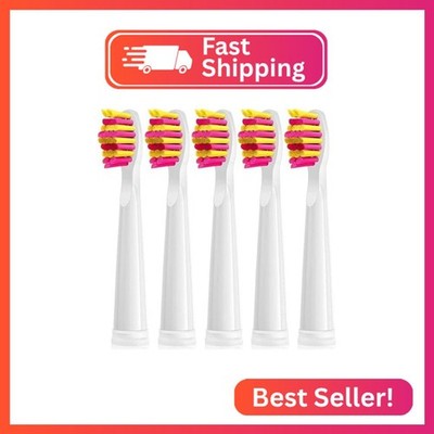 Toothbrush Replacement Heads Compatible with Fairywill FW-D1/D3/D7/D8/507/508/55
