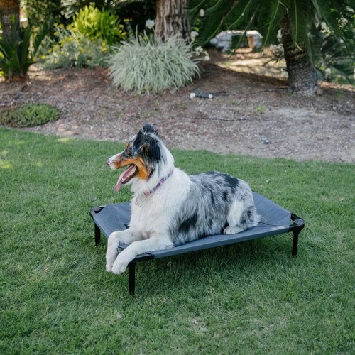 Lucky Dog™ 48'' Elevated Pet Bed Comfort Cot - Gray - Picture 3 of 13