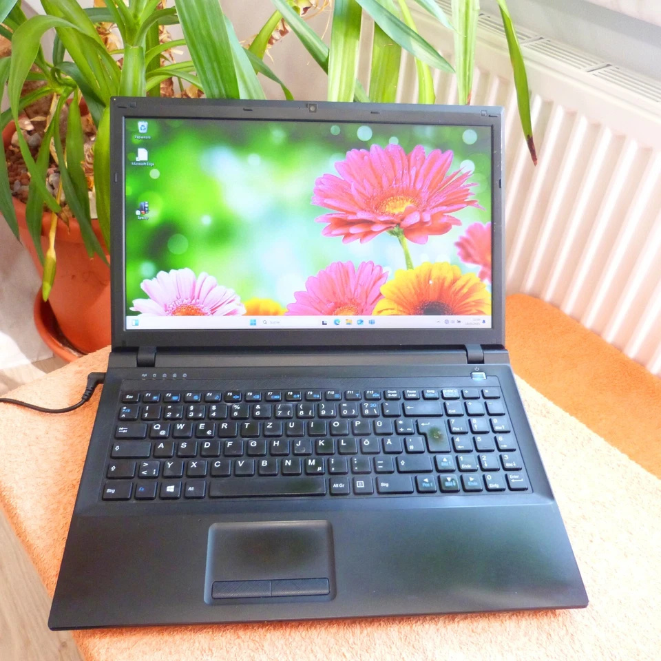 Terra 1512 15 Zoll Multimedia l Windows 11 l 16GB RAM NEU l DUAL CORE Mit Mangel - Bild 2 von 4