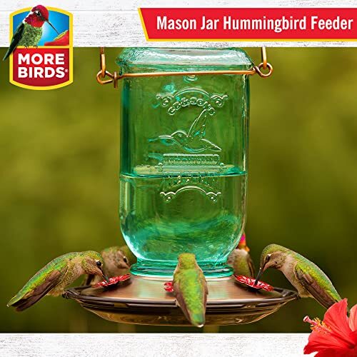 Alimentador de colibríes Mason Jar, comederos de vidrio para colibríes para exteriores, 5 feeds... - Imagen 2 de 3