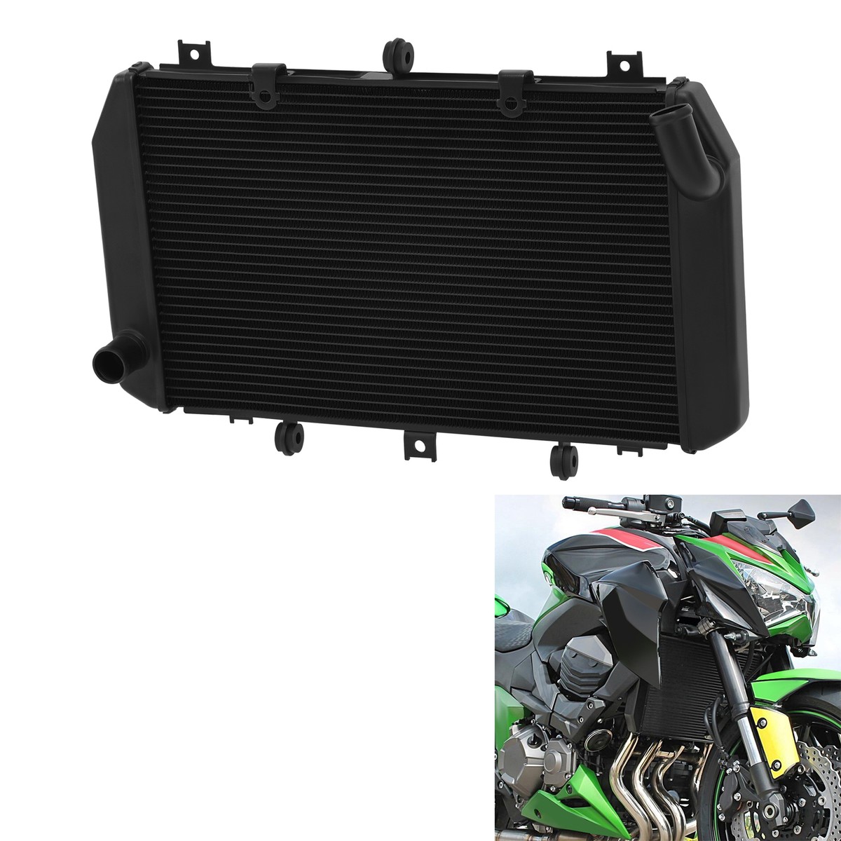 10w機 トリックスター / 2025年モデル Kawasaki Ninja ZX-10R 適合製品情報