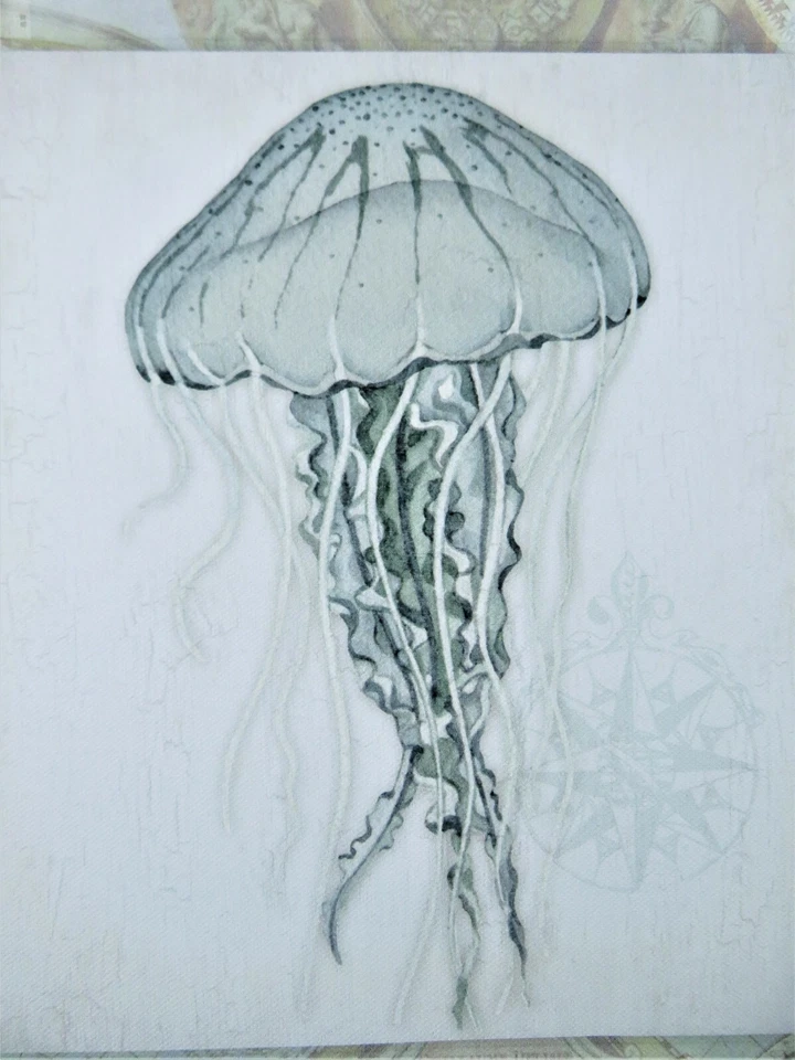 Arte de parede água-viva tema náutico lona esticada em moldura de madeira 12X12X1,5 polegadas - Imagem 4 de 4