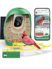 AI-Powered Smart Bird Feeder with Camera Solar-Powered, AI Identify Bird Species