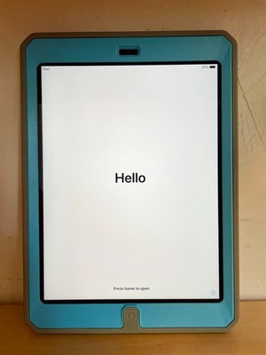 WiFi Only Apple iPad Air 1st Gen 64GB Space Gray MD787