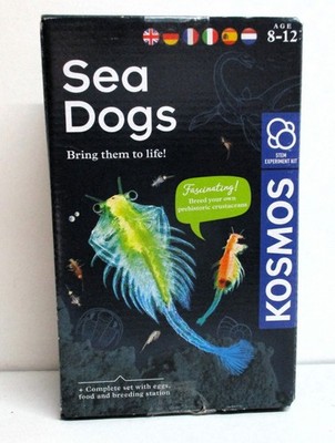 KOSMOS Urzeit-Krebse / Sea Dogs Experimentierkasten Kinder Mehrsprachig 616779