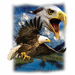 ALTRA T Shirt dalla S alla 2XL 3XL volante AQUILA MONTAGNA fauna selvatica uccellino adulto