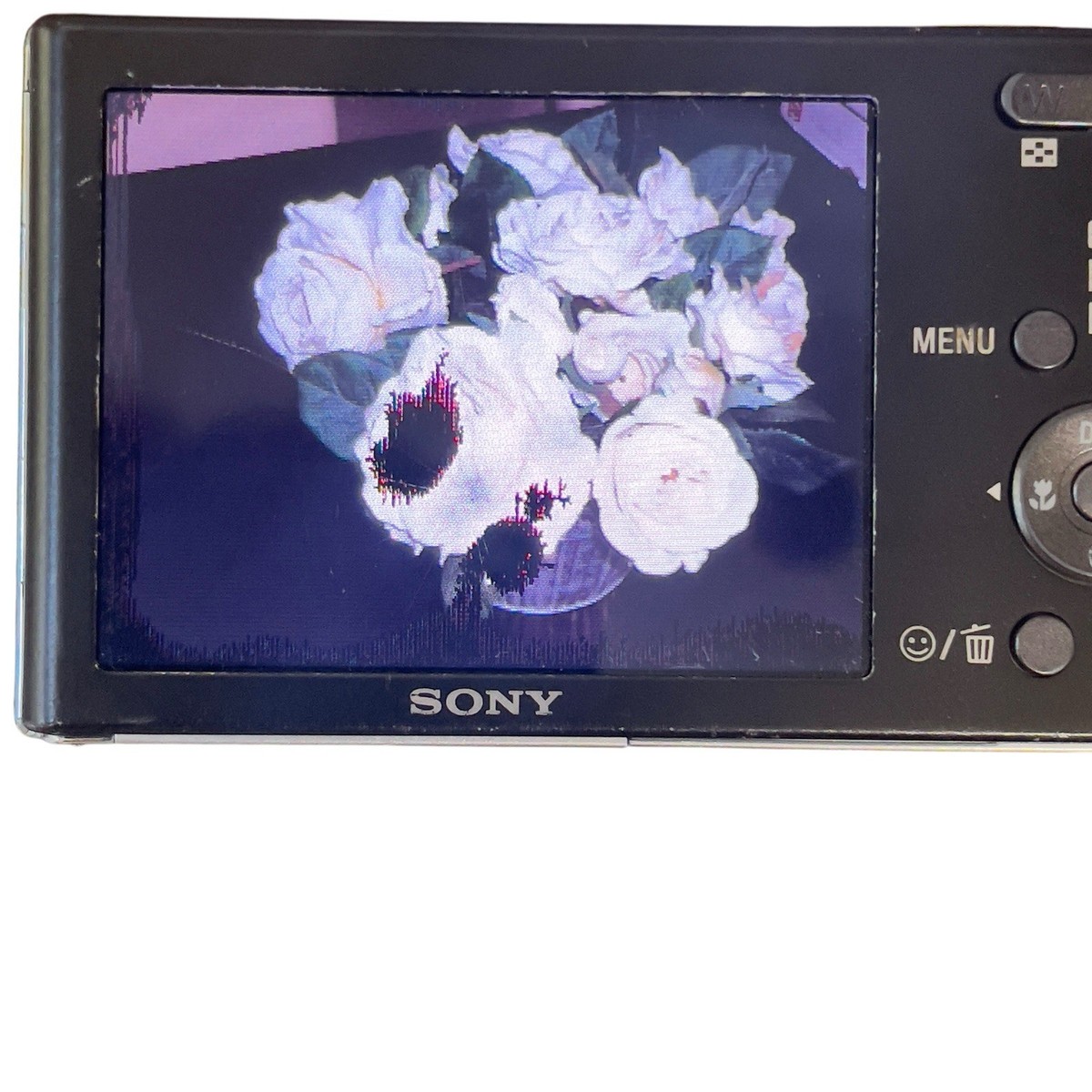 Sony Cyber-shot DSC-W190 12.1MP Digital Camera - Black Bundle