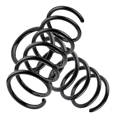 2x Federn Fahrwerksfeder Hinten Hinterachse für Fiat Panda 169 1.2 1.3 D MultiJe