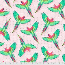 Cotton Daydreamer Macaws Parrots Colorful Bird Fabric Print by Yard D602.91