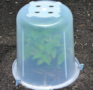 Greenhouse Garden Buckets 5 Gallon Adjustable Airflow Lot of 6
