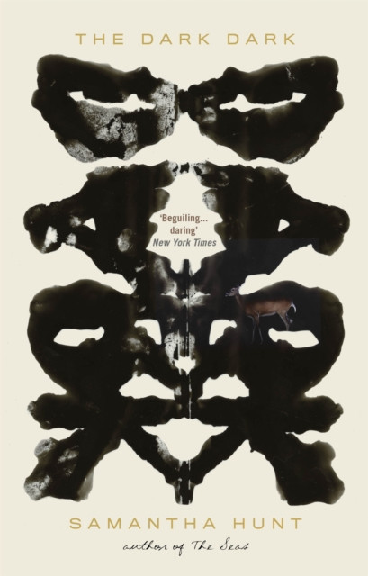 The Dark Dark by Samantha Hunt (Paperback Book)