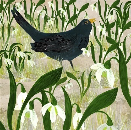 NATURAL PARTNERS ART Blackbird Has Spoken Snowdrops Fine Art Blank Greeting / Birthday Card - Birds