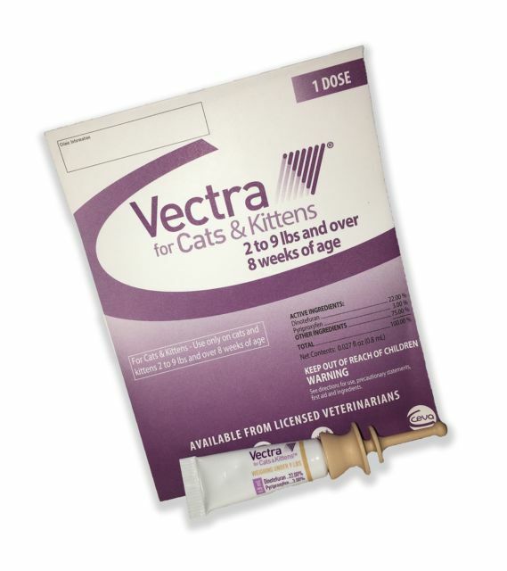 vectra for cats and kittens