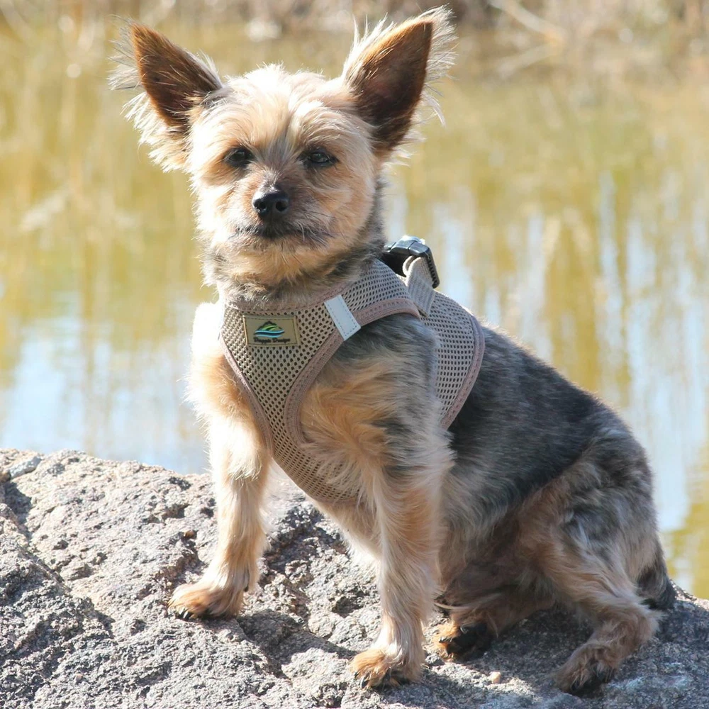 Dog Harness Fossil Brown Ultra Choke-Free - XXS-3XL