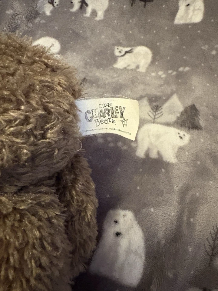 Little Charley Bear Talking Soft Toy 12” Plush 2010 Charlie VGC - Image 3 of 3