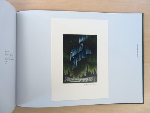 Colección de libros Katsunori Hamanishi 10 hojas firmadas limitadas 50 copias... - Imagen 8 de 10