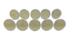 GU10 60LEDs 220-240V Warm White x 10