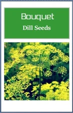 Bouquet Dill Seeds: Fresh Heirloom, Non-GMO Garden Herb