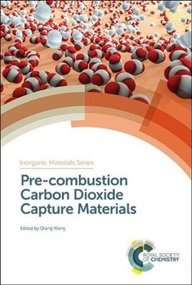 Pre-combustion Carbon Dioxide Capture Materials by Qiang Wang (English) Hardcove