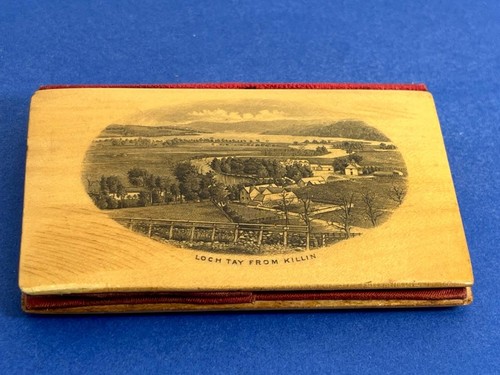 NICE ANTIQUE VICTORIAN SCOTTISH MAUCHLINE WARE SEWING NEEDLE CASE " LOCH TAY " - Picture 4 of 14